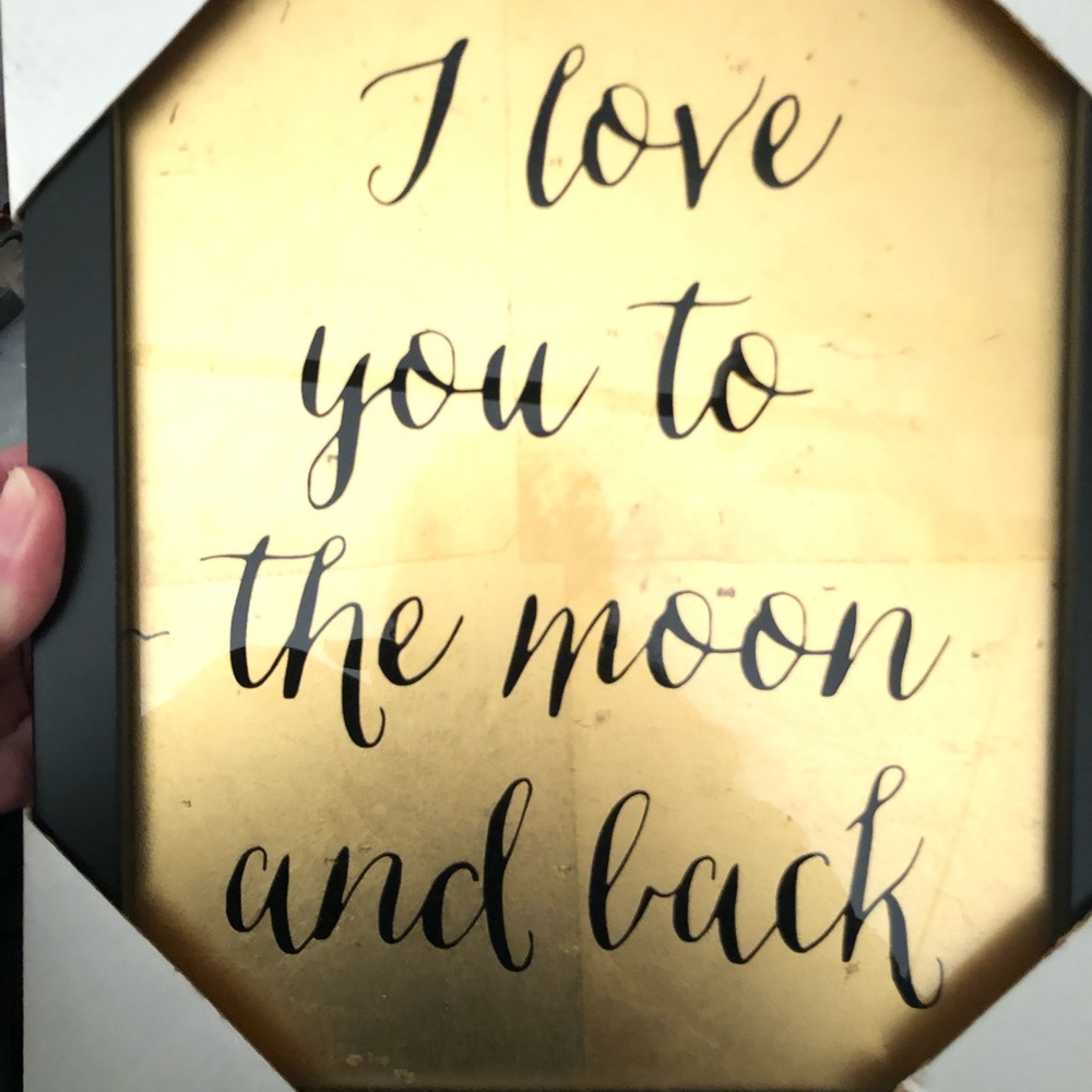 Love you to the moon and back